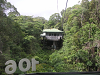 s_A_PICT0183_thumb.png